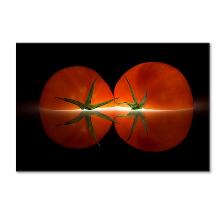 Wieteke De Kogel 'Tomatoes' Canvas Art,16x24